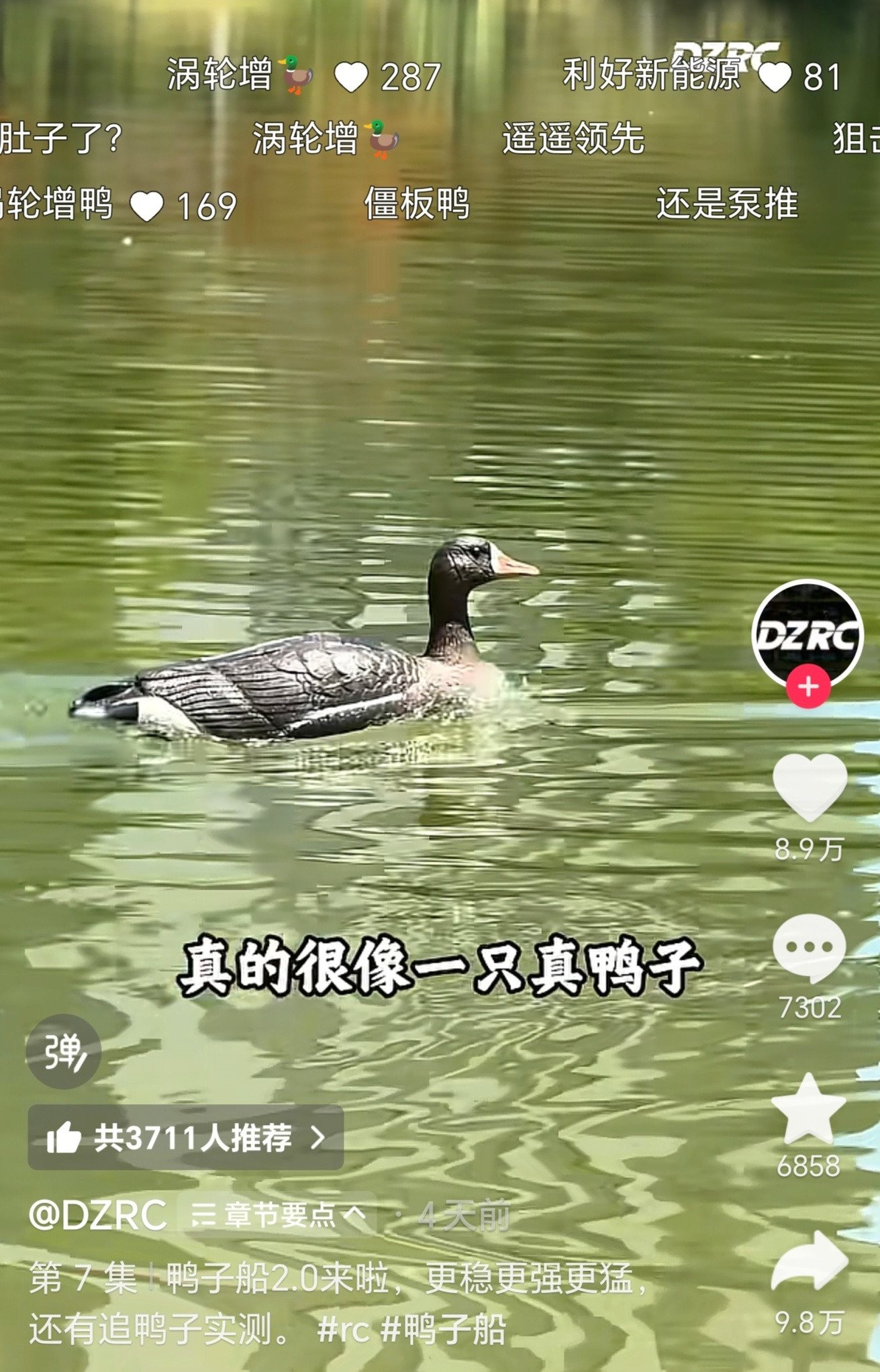 网友做了个鸭子船，放湖里跟真的一样，湖里的鸭子以为是真的还想一起玩，结果靠近以后