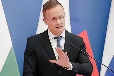 看网上的消息，说是整个欧洲经济遍地哀鸿的时刻，匈牙利却一枝独秀，经济一直在稳健增