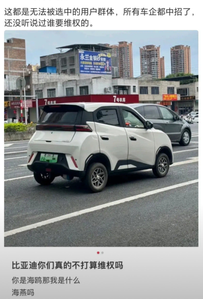 比亚迪你们真的不打算维权吗