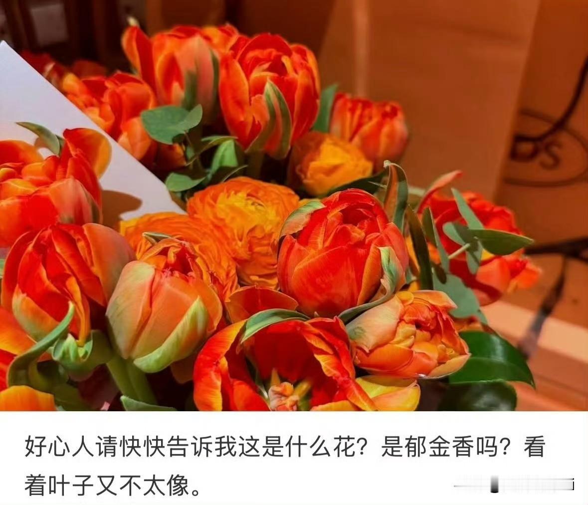 品牌方送给肖战的鲜花都透着浓浓的爱意和呵护“你是我心中最耀眼的存在”“愿你被