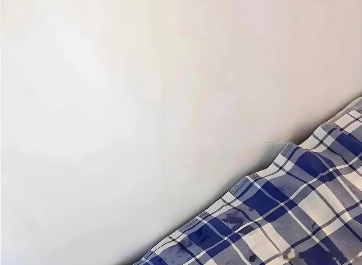 室友床上掉下来的，我要提醒他吗？😳