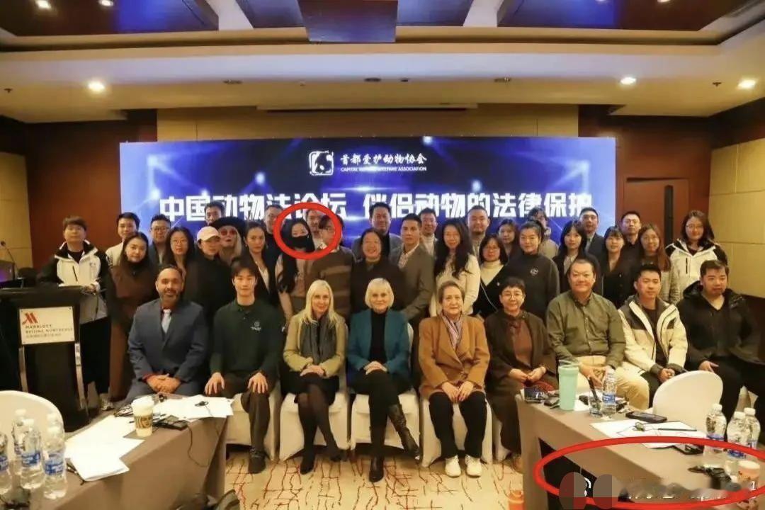 一个带节奏高手，背靠NGO，以非常人思维，利用舆论绑架了法律、绑架了文明，为了达