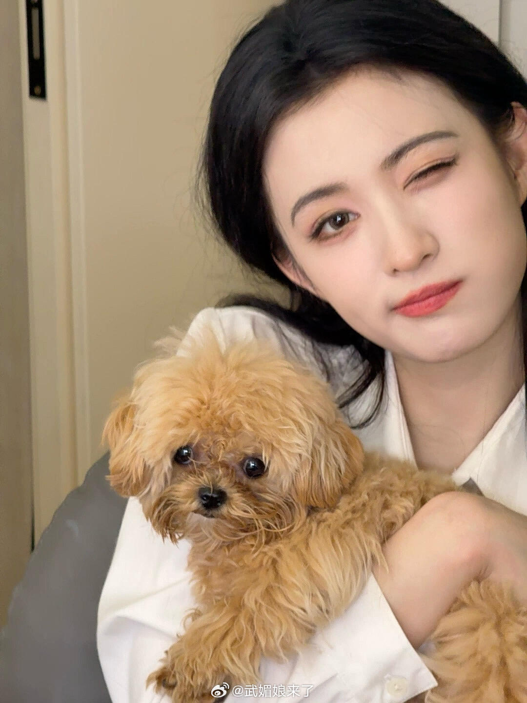 王楚然今天宠幸了“狮子头”[大笑][大笑]好羡慕小狗狗能被女神抱着贴贴​​​