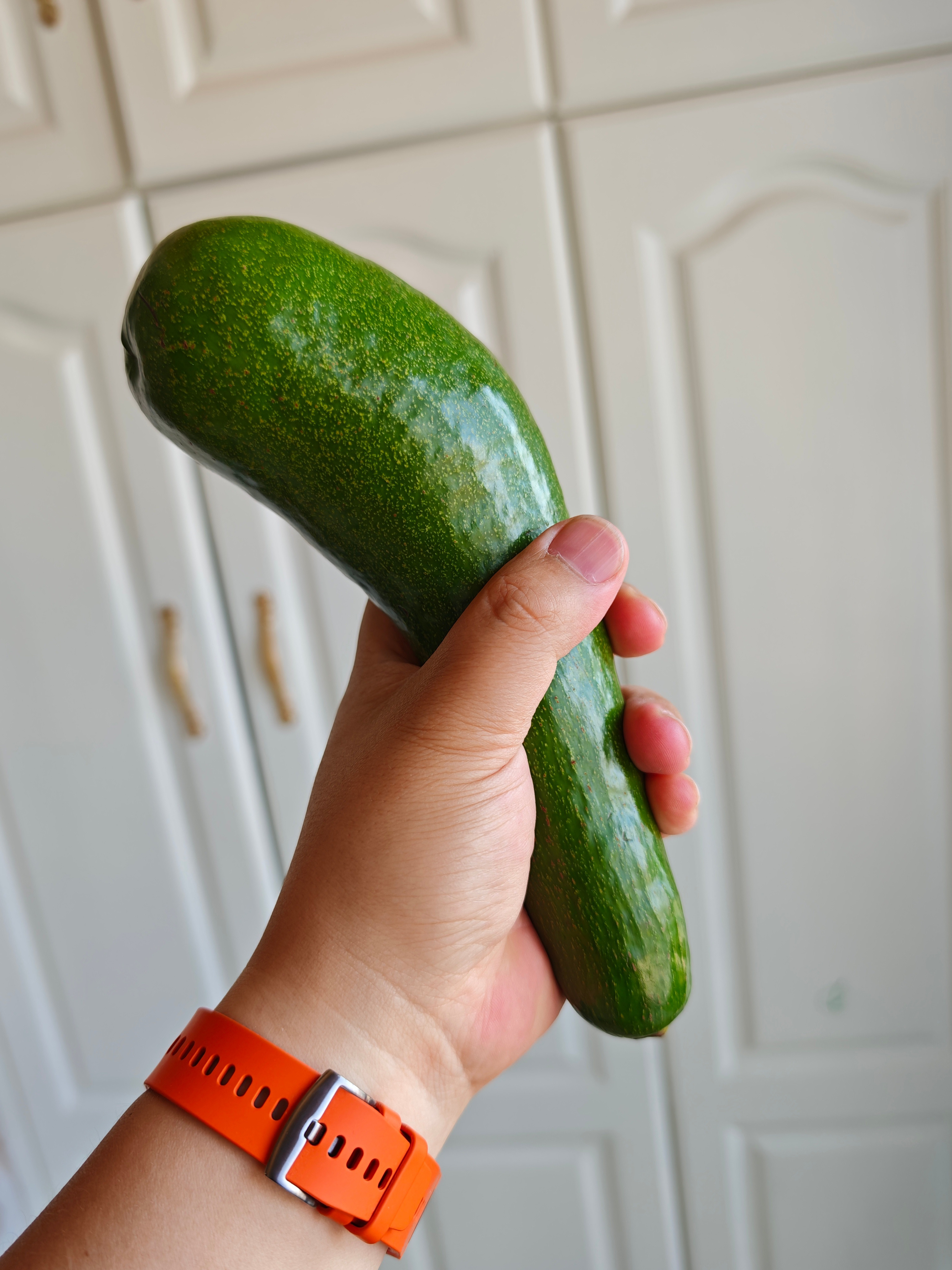 爹妈旅行带回来的牛油果，这一个20块，还行吧？