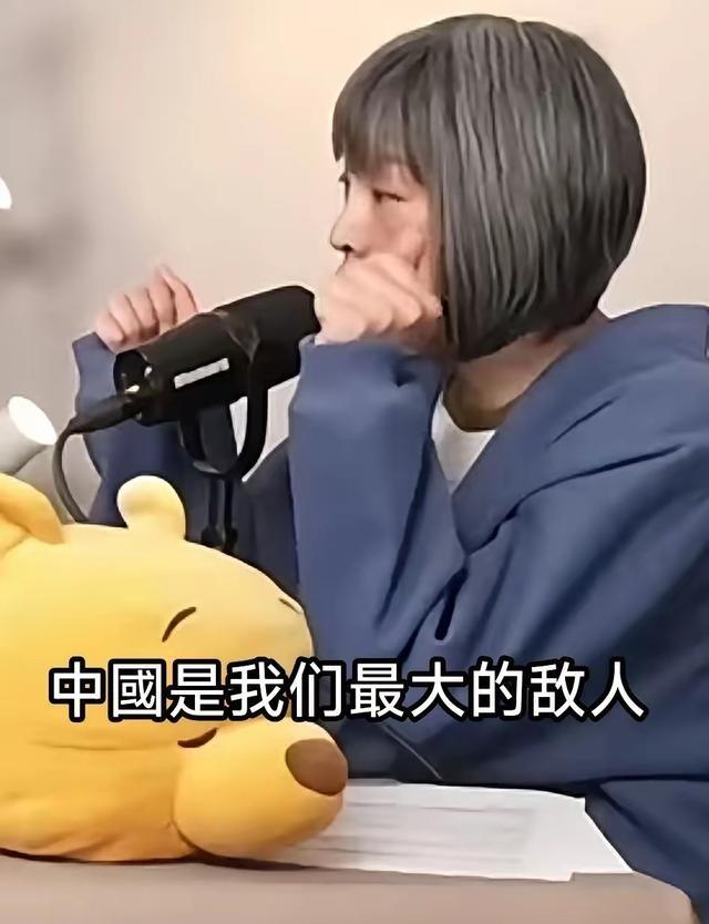 她来大陆的时候，我们还把她当同胞对待。结果一回台湾，马上翻脸，公开说大陆是敌人。