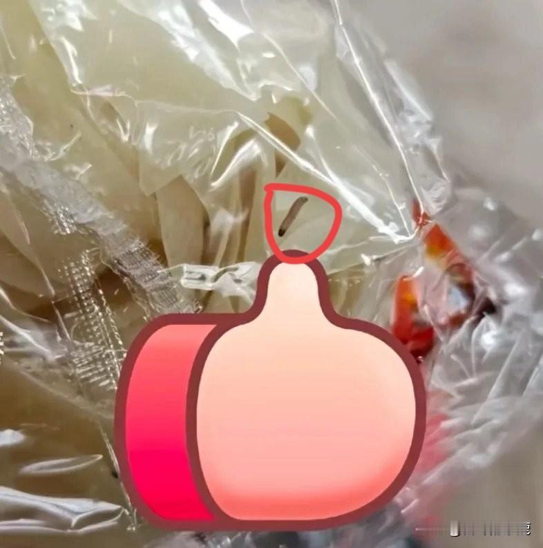 刚刷到白家阿宽面皮每包都藏“虫”的消息，简直yue了！网友说刚开封的红油面皮里