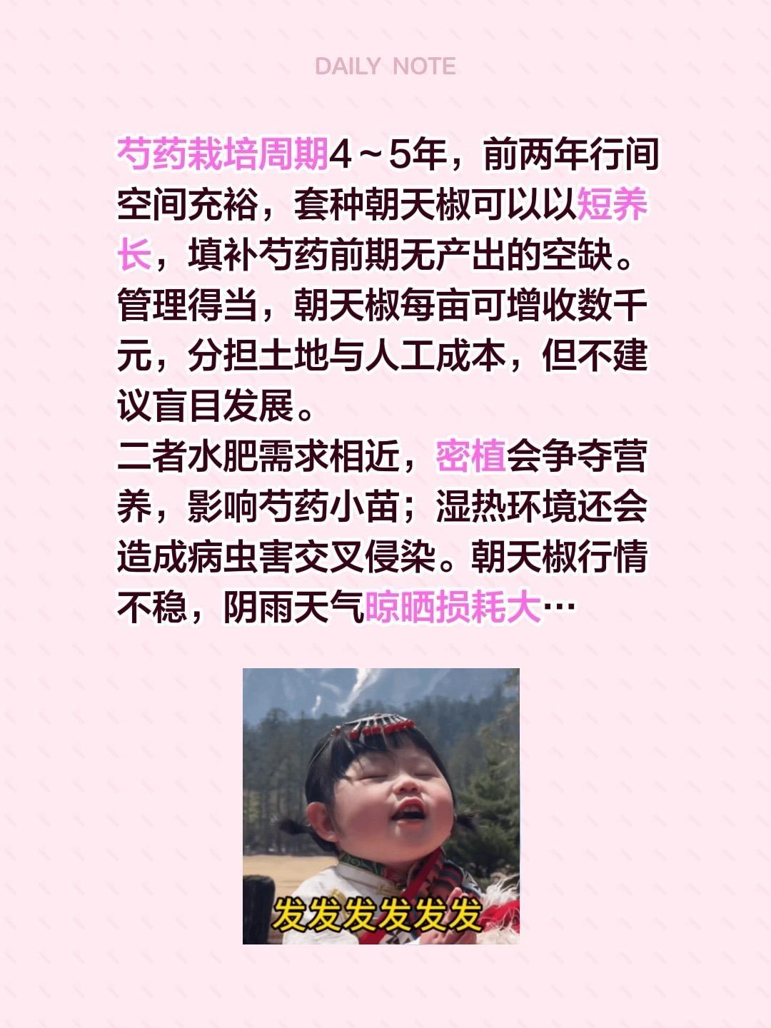 芍药套种朝天椒收益怎么样？我评论了@天宝健康服务的作品：芍药栽培周期4～5年