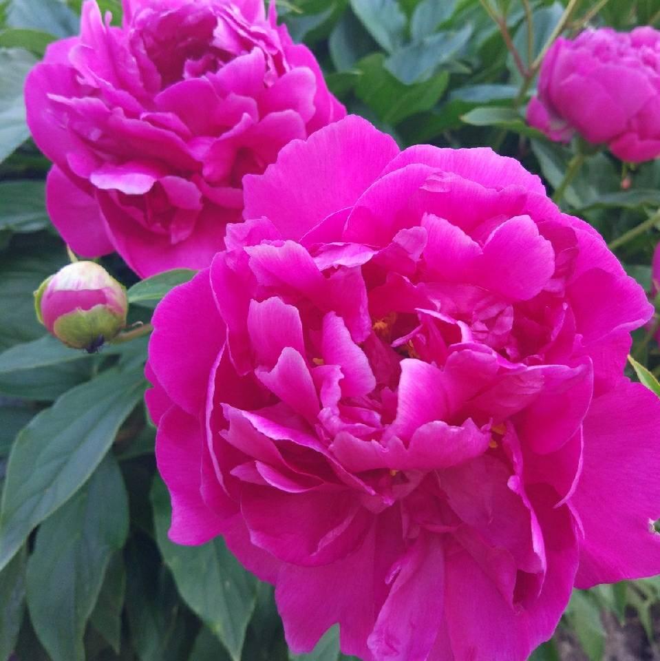 （改变一个人的运气靠什么？）改变一个人的运气，并非靠虚无缥缈的玄学，而是有迹