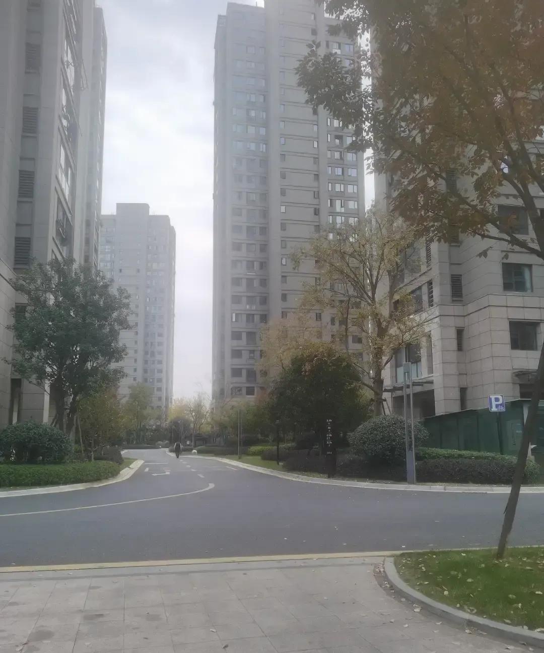 刷到个帖子，说有人在杭州余杭某小区蹲了半小时，豪车塞满地面，老太太推着小车翻垃圾