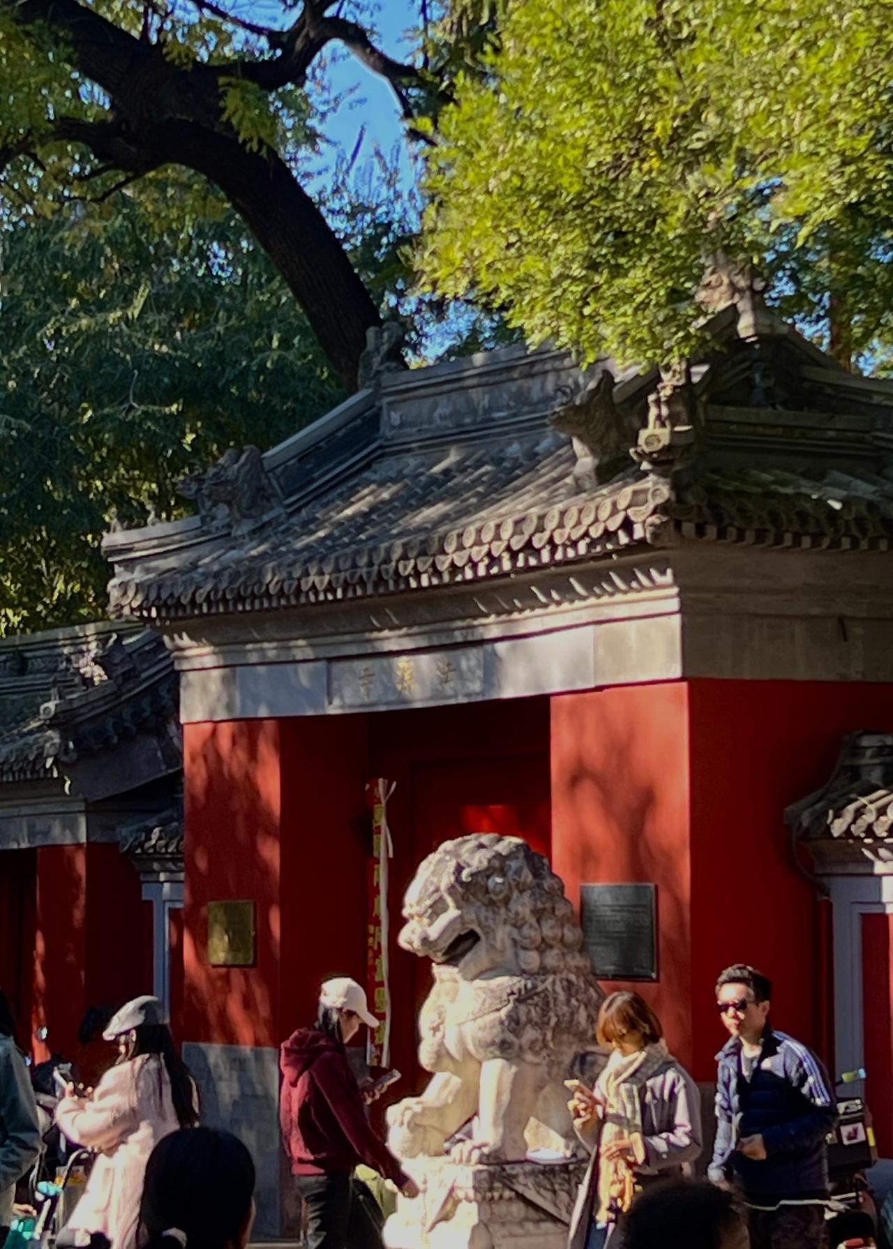 以京城＂四大花事＂之＂丁香花事＂而著称的法源寺秋天同样十分精彩，寺内外的银杏、白