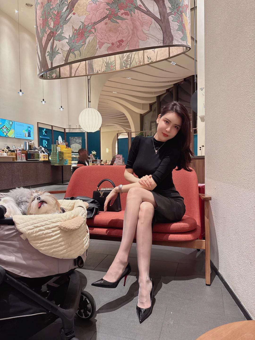 优雅咖啡馆时光，与爱犬共享惬意午后