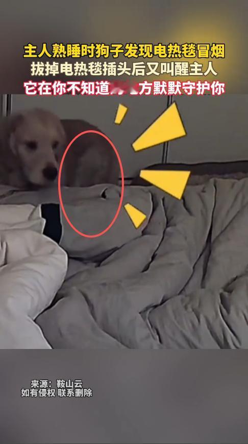 “这是来报恩的吧！”12月14日，吉林四平，一女子睡觉时，忘记关闭电热毯，结果半