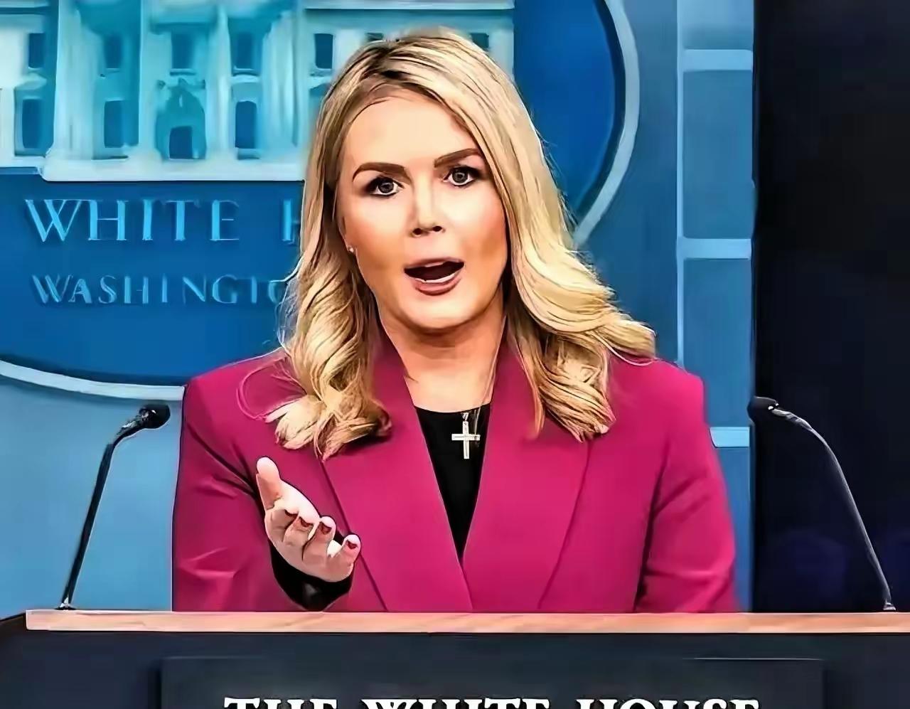 熊猫和日本较劲了好一阵子，这背后其实还藏着一个关键角色！美国突然下场给日本站