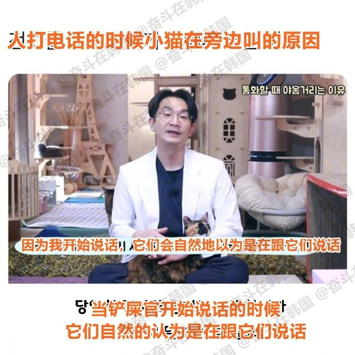 打电话时猫会在旁边喵喵叫的原因​​​海外新鲜事热点现场​​​