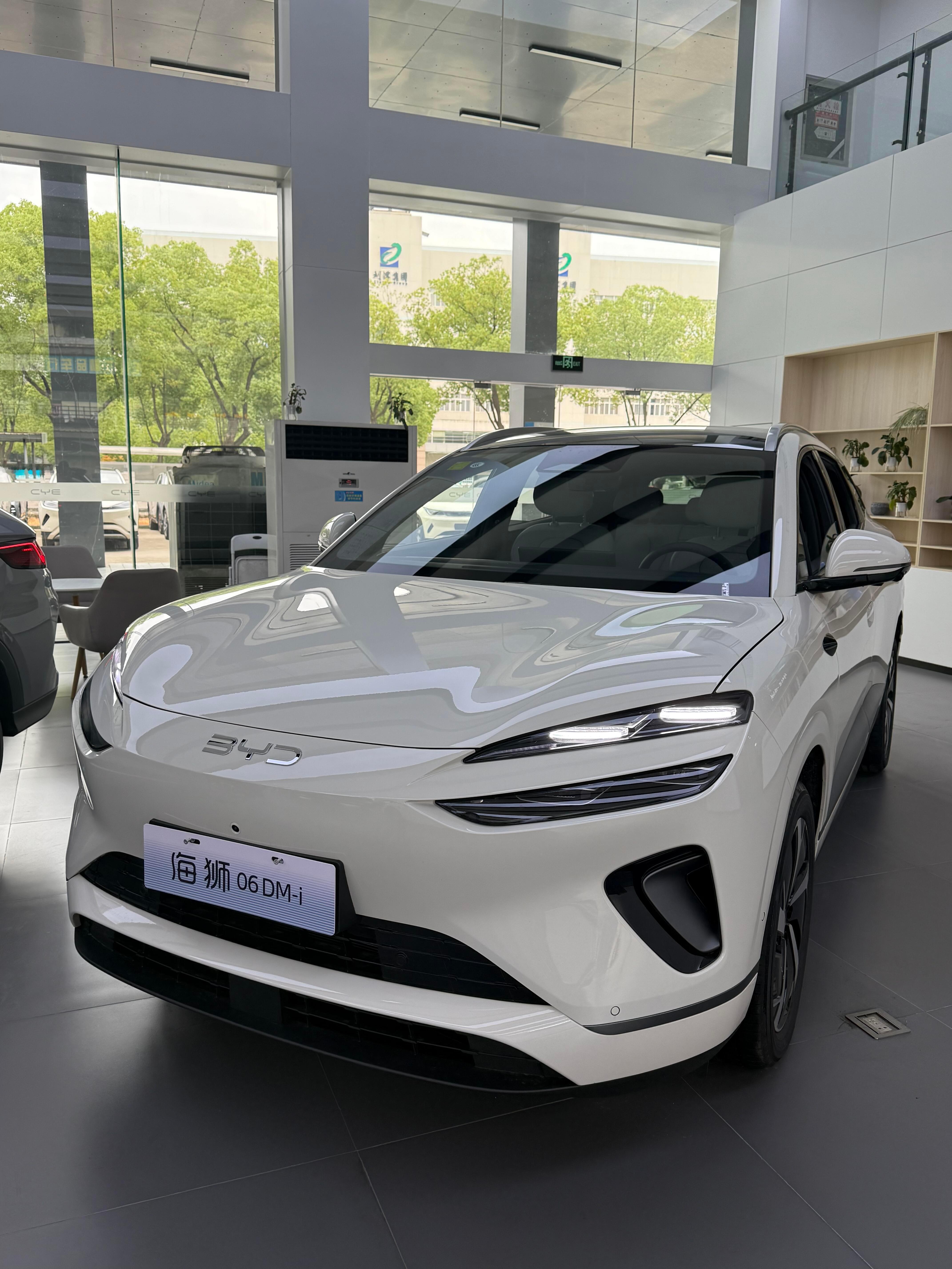 分享个粉丝提车行情：车型：海狮06DMI121km领航指导价：139800成