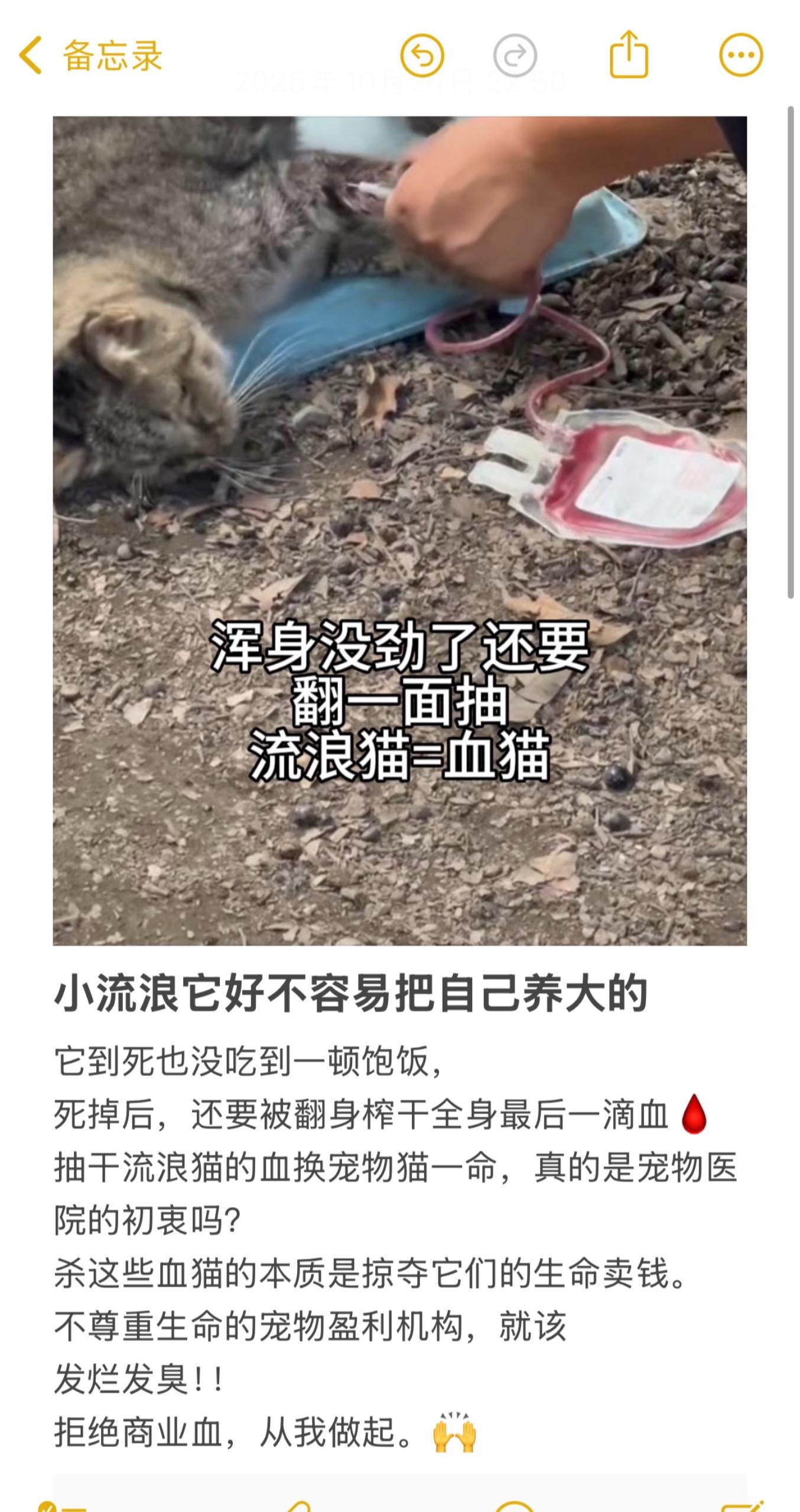 咪把自己养这么大真的不容易。