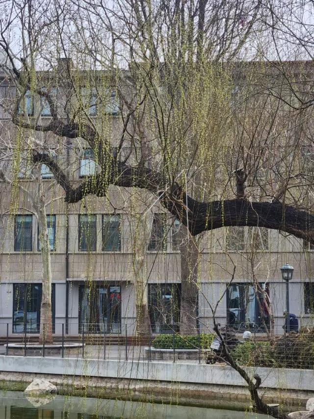 青岛四方公园里新气象虽然青岛的春天不如内地来的早，但迟到的春天更漂亮。青岛四