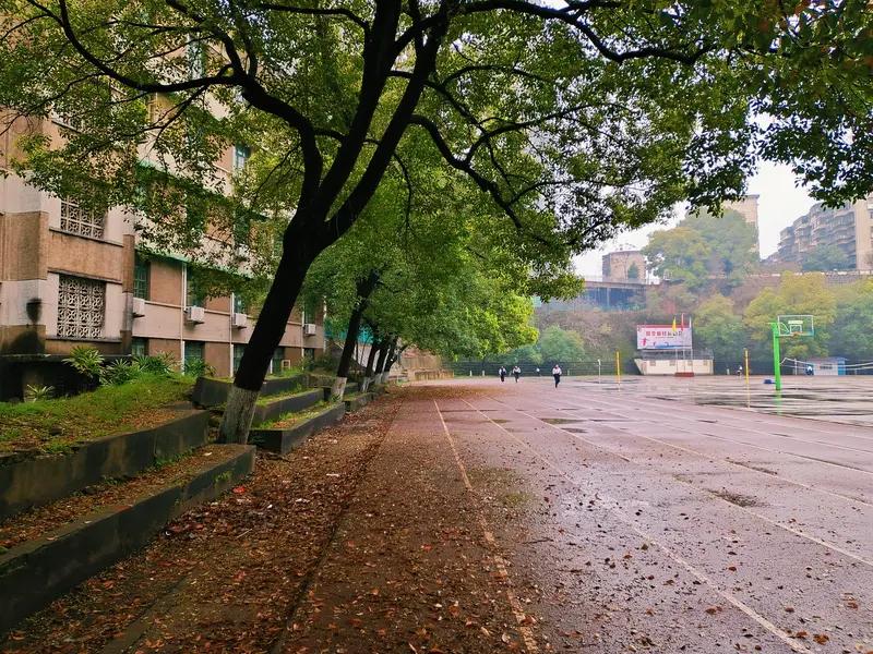 现在有一类老师着实让人讨厌，这边要求学校照顾一下自己，身体不行，少上点课。但是上