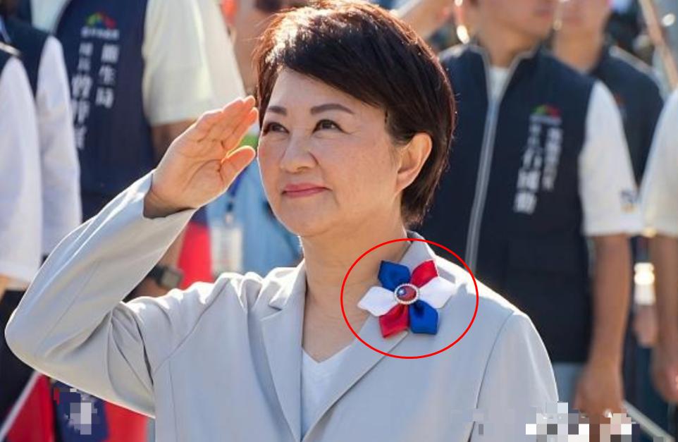 卢秀燕转向，开始向郑丽文学习了！罕见佩戴蓝红白胸针，这是从善如流，还是东施效颦？