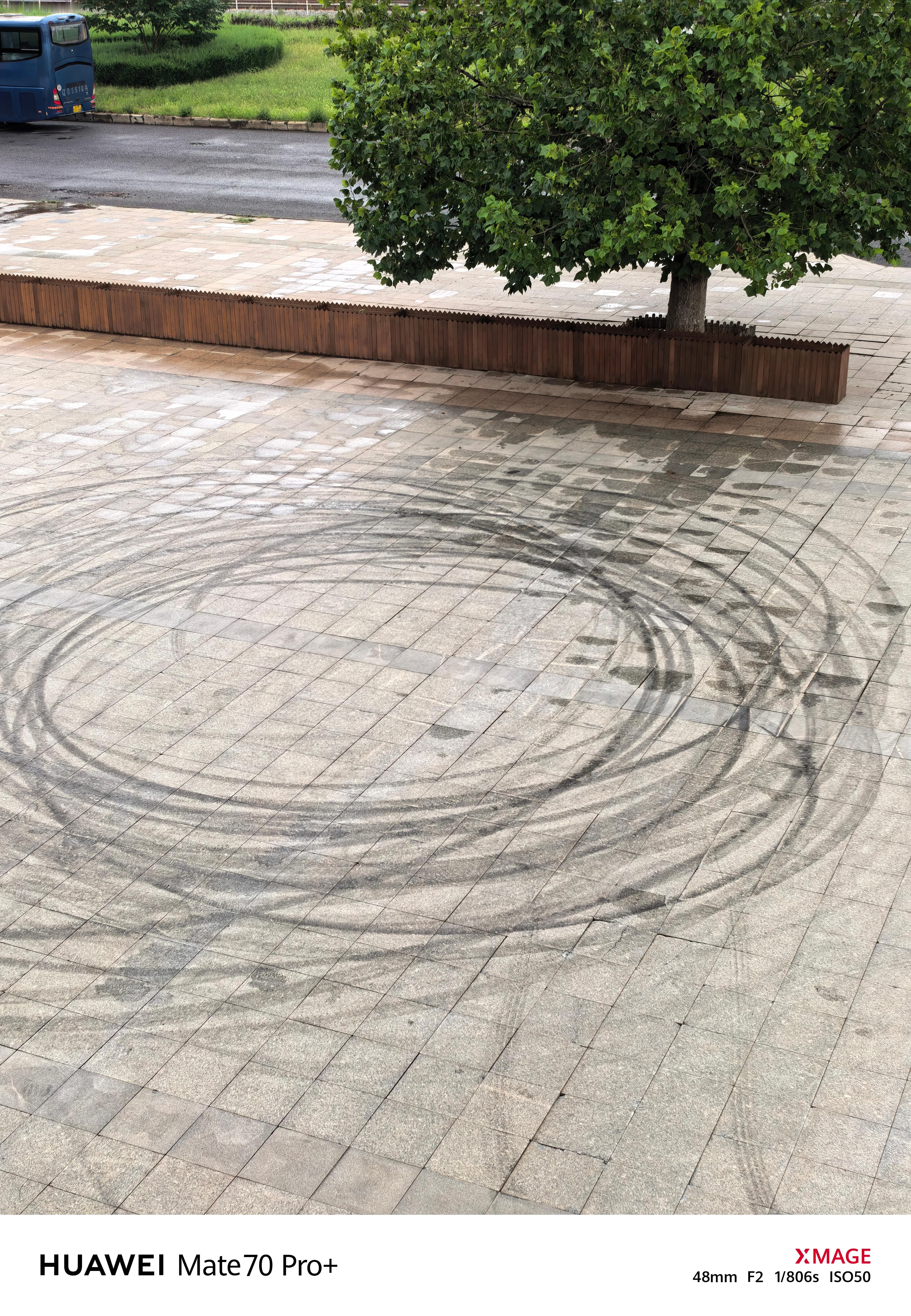 下完雨的大连，空气真好​​​