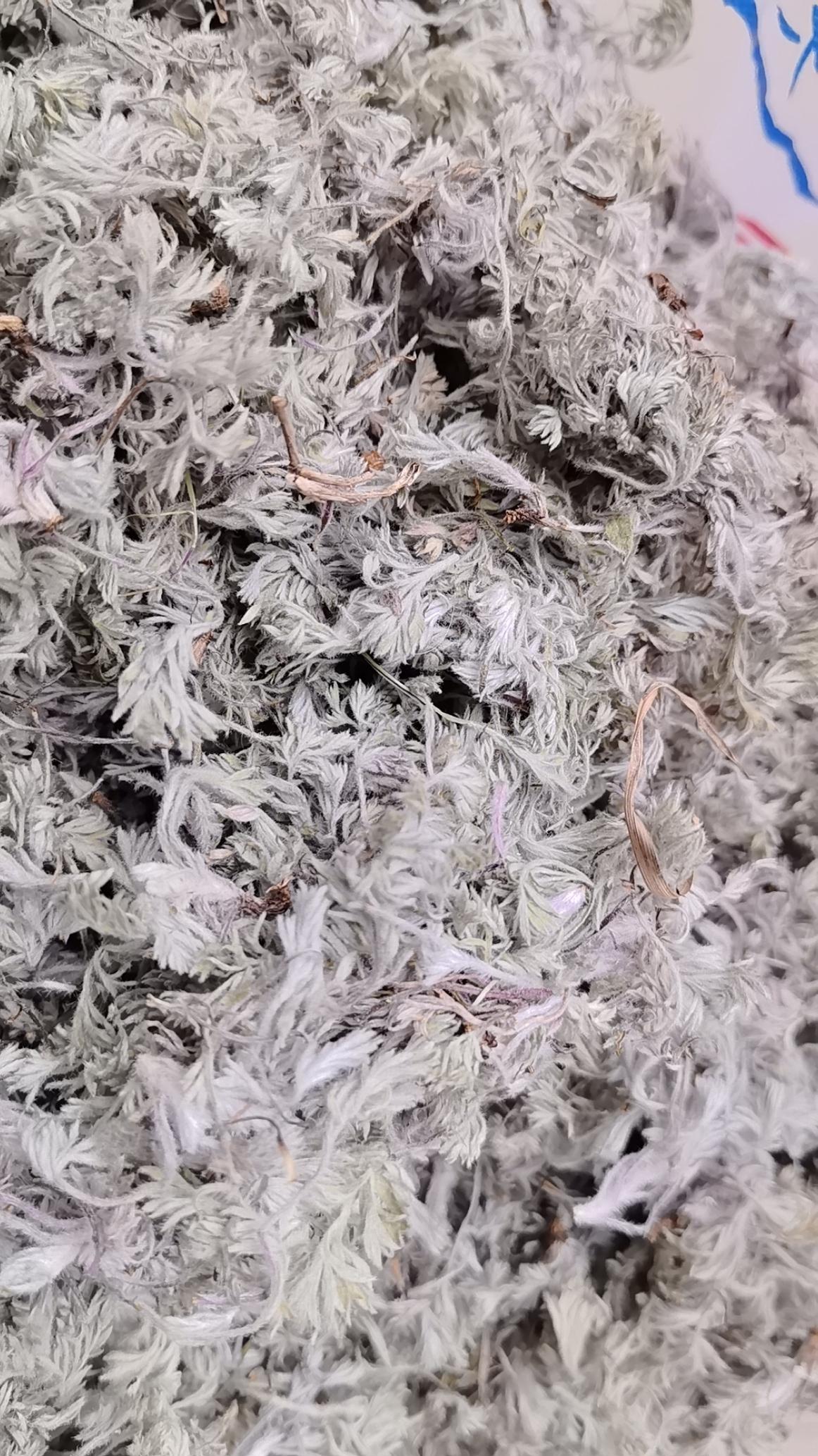 茵陈茶能不能天天喝?不建议天天长期喝茵陈茶，尤其是体质偏虚、脾胃弱的人。为什么