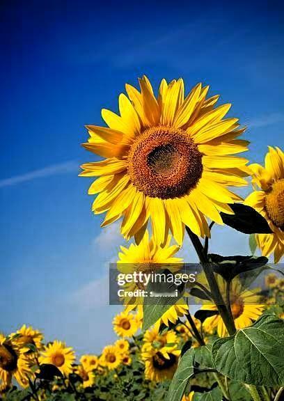 最近，协和医院的某位医生一段话刷爆全网。他说的是：“只要你全身不紧张，就不容