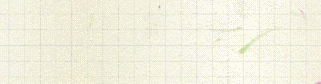 小S忏悔:后悔发起日本行害了姐姐