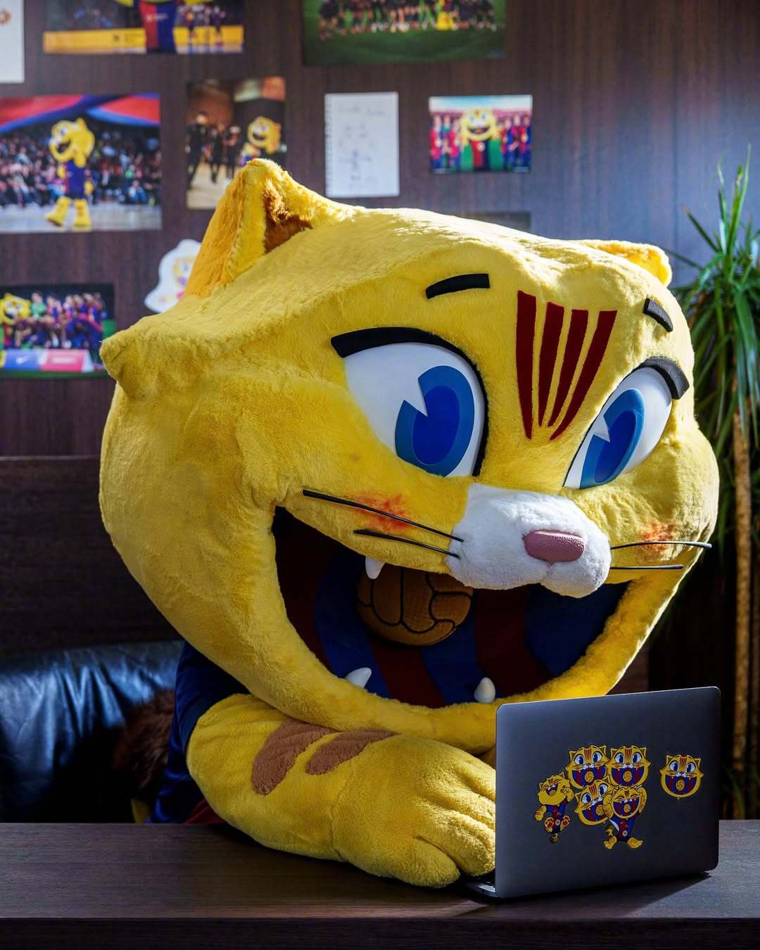 💻没比赛的时候咪咪也是要在办公室打卡坐班的😾但是能不能给小猫换个大电脑巴萨[