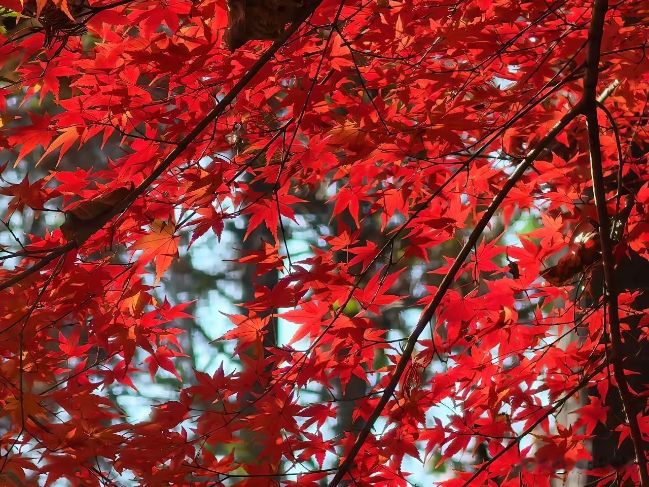 刚进初中还是班级前几名，甚至年级前几名，有人到了初二初三，有人甚至在初一下学期就