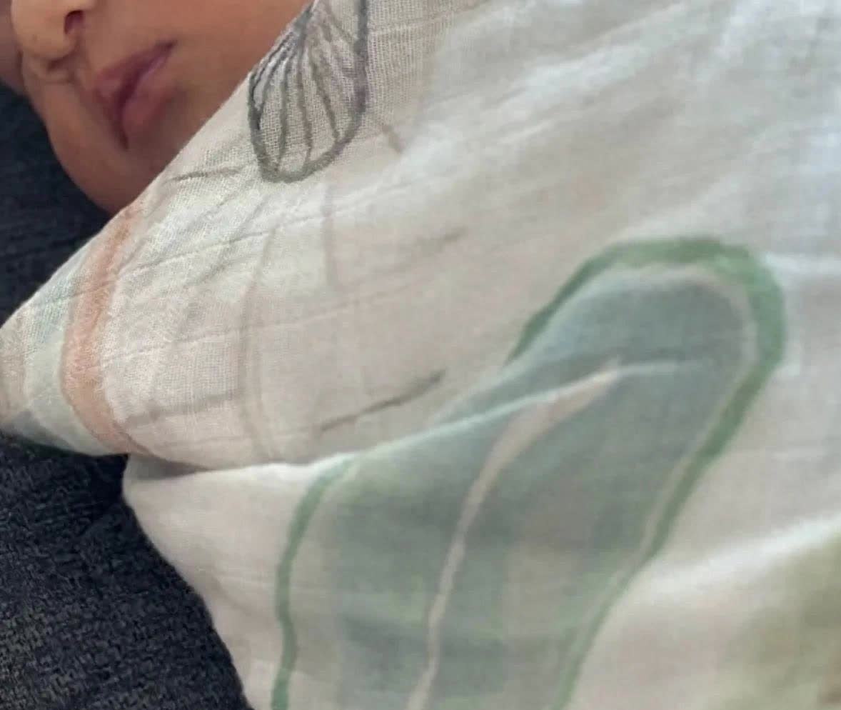 谢婷婷最近二胎生了儿子，全家四口合照一晒出来，大家都感慨这日子真温馨。她家现在在