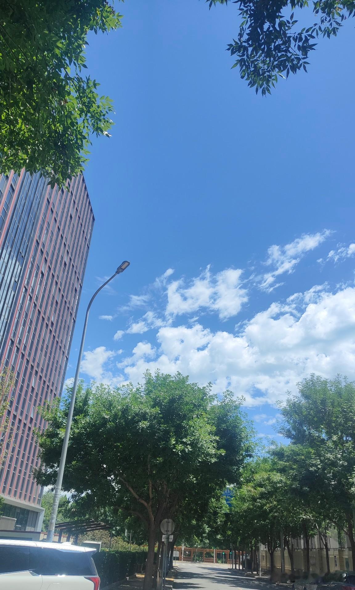 分情况看待，核心看孩子年龄、自理能力、家庭现实、教育收益，不能一概支持或反对一