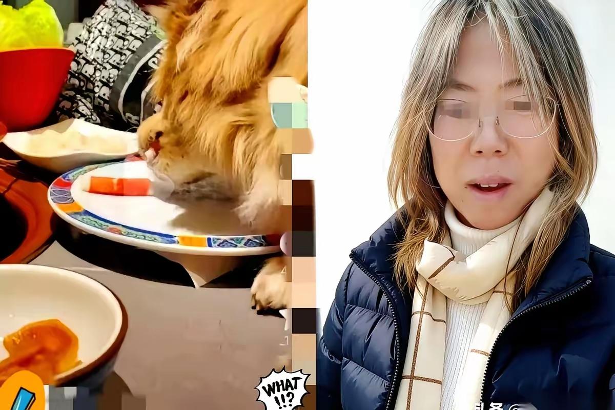 北京一家涮肉店的老板最近气到不行！就因为有个女顾客拿店里的公筷公勺给自家狗喂食，
