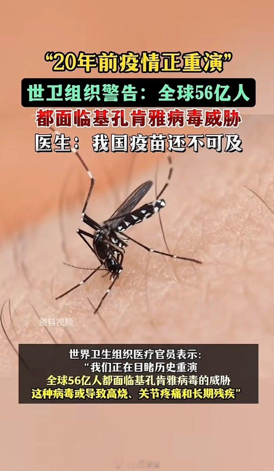 基孔肯雅热这种病毒，第一次听说我国第一次爆发这真的是极其罕见划重点，第一次爆发