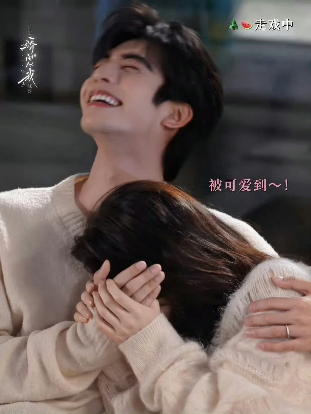 宋威龙赵今麦婚后沙发吻啊啊啊啊啊啊宋威龙赵今麦婚后沙发吻kswl顾漫真是又会写