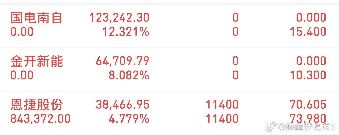 挑战300万冲刺3000万（3/13记录）格局：恩捷股份清了：金开新能、国电南自
