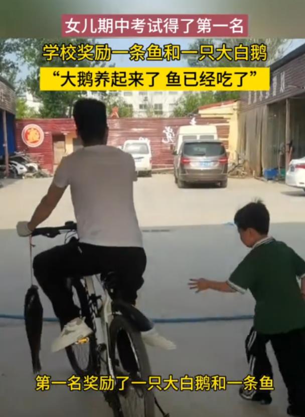 “这个爸爸真能嘚瑟！”5月17日，河南，女儿期中考试得了第一名，学校奖励了一只大