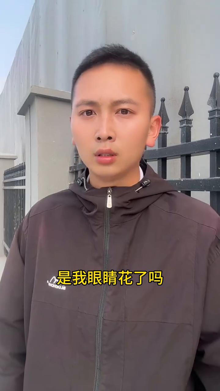 厉害的狗和猫咪。是我眼睛花了吗？