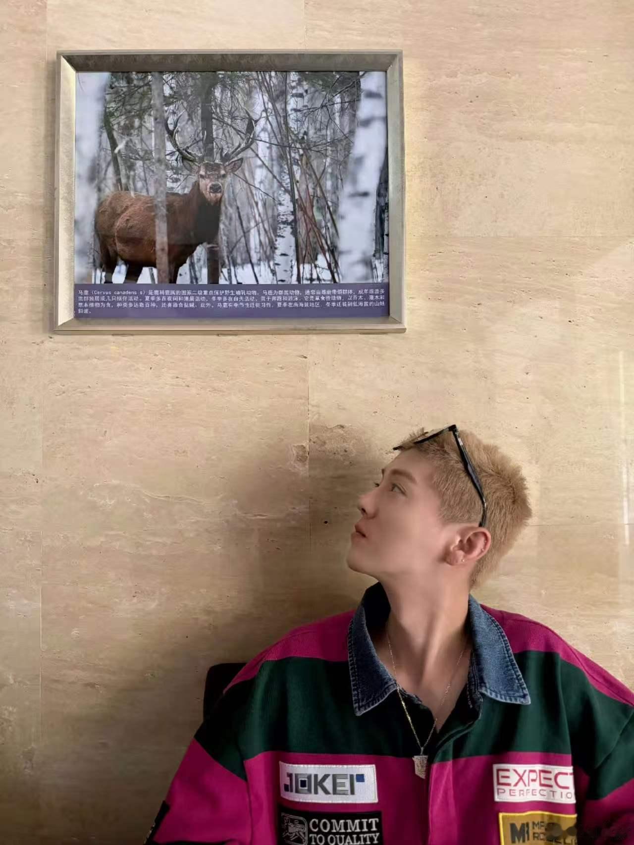鹿晗分组五哈这期是鹿晗分组有人觉得鹿晗分组会很有梗，有人说他可能会犹豫不决，你
