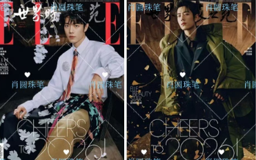 杨紫和肖战真的太有劲头杨紫Vogue开年年港版AB两版大封肖战这边ELLE