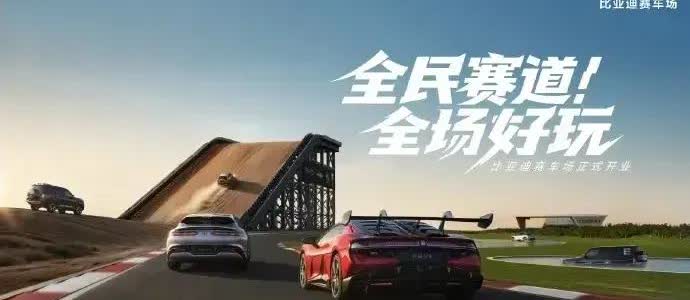伤害性不大，侮辱性极强！14亿中国人都以为比亚迪王传福甩出的上半年249万台销量