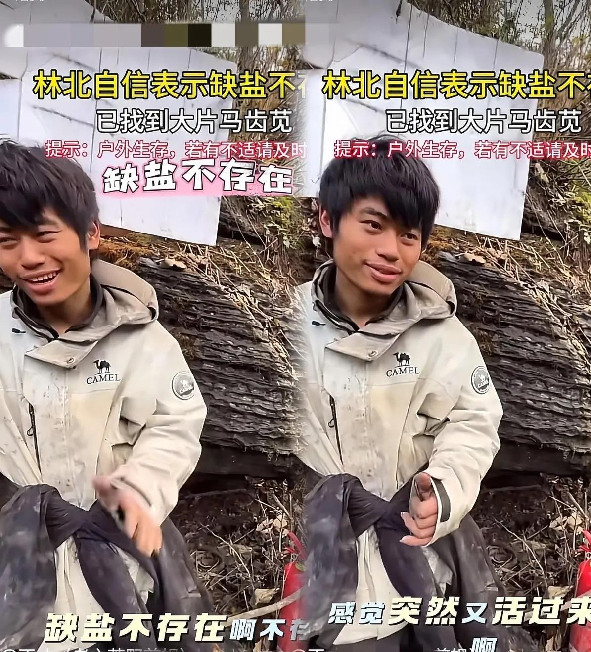 林北在荒野里饿得腿都肿了，发现一大片能救命的马齿苋，第一反应不是往嘴里塞，反