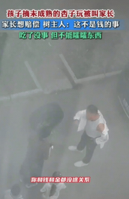 “这才是教育真谛！”辽宁，孩子贪玩偷摘了一大堆还没熟的青杏，被果树主人当场抓住。