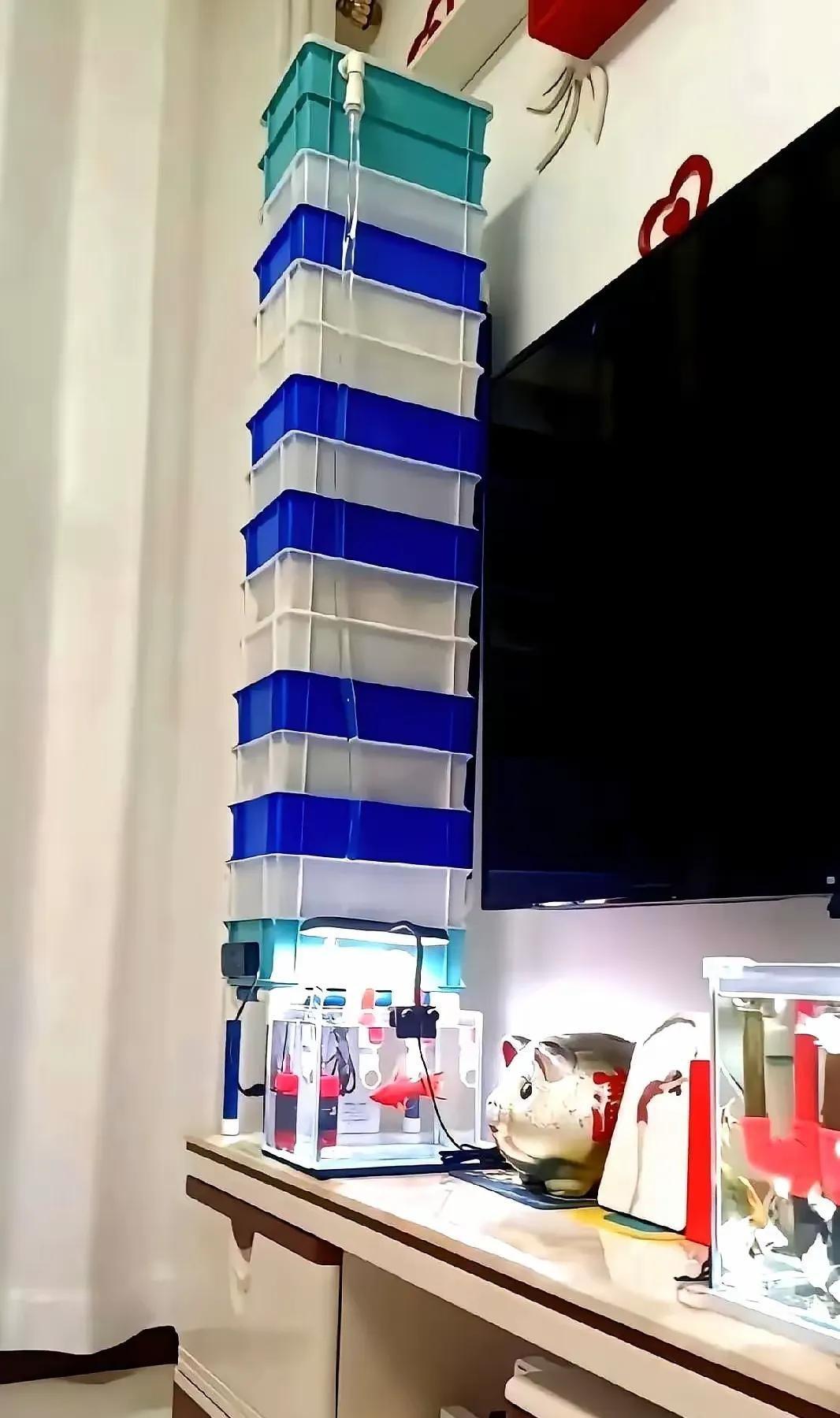 这是养鱼界的高手，9层过滤，这过滤的水都能直接饮用了吧～