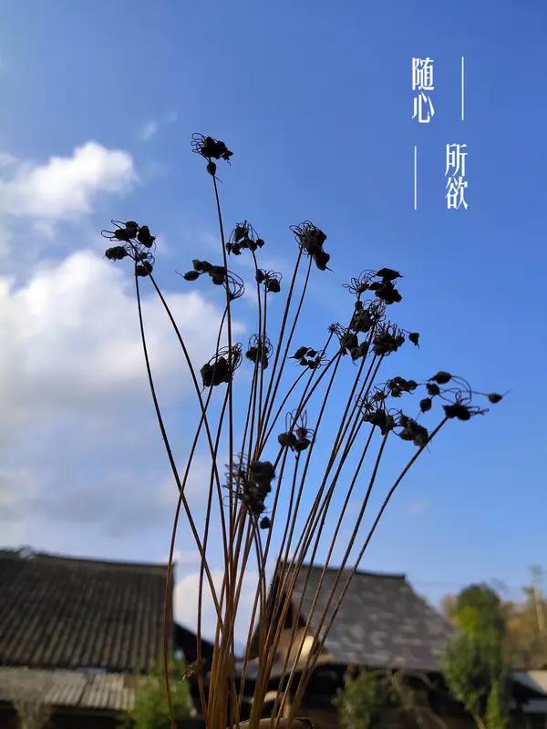 人在低谷拼的是什么?人在低谷，拼的可不是运气，而是不认输的底气、沉得住气的耐心