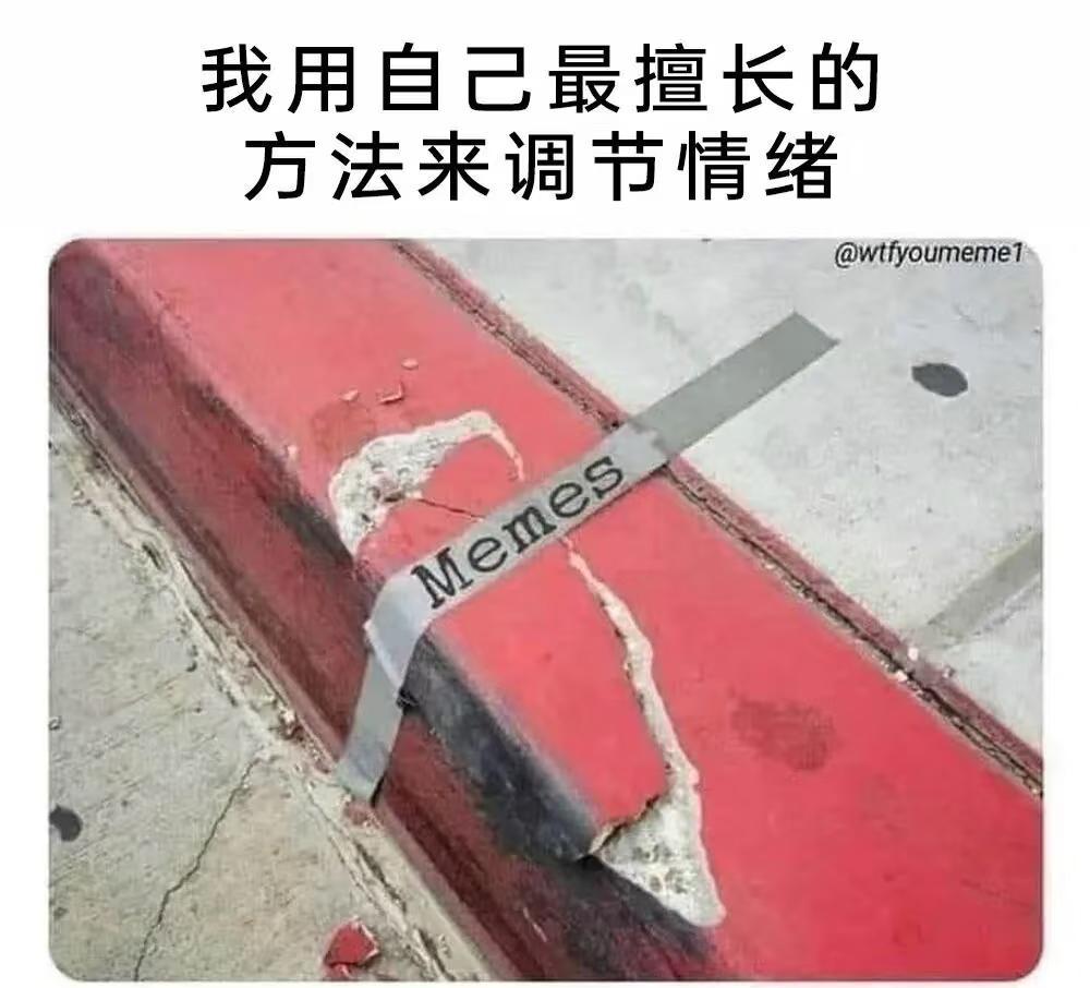 【meme】梗图：我用自己最擅长的方法来调节meme此图有梗