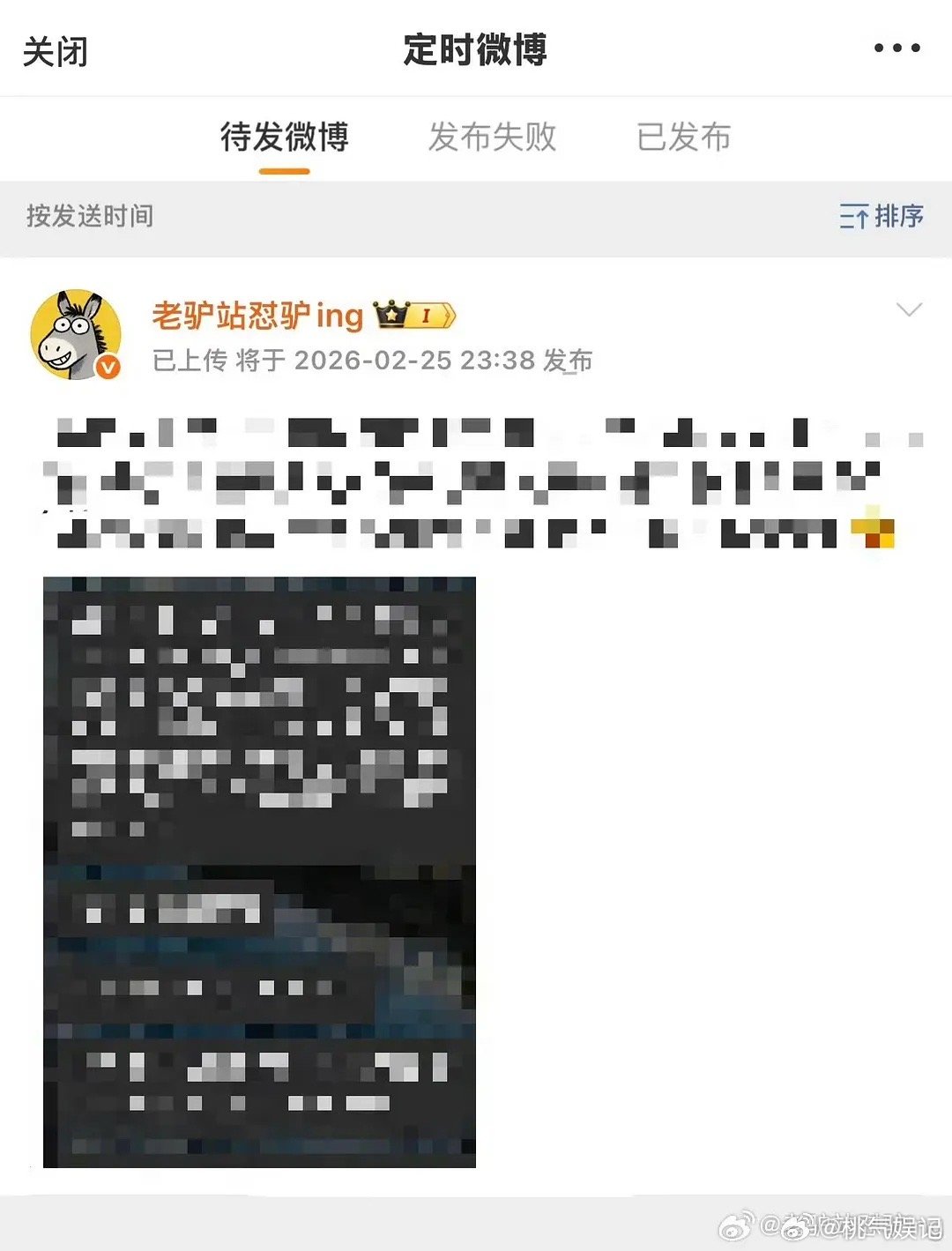 什么意思啊，纯聊天记录？