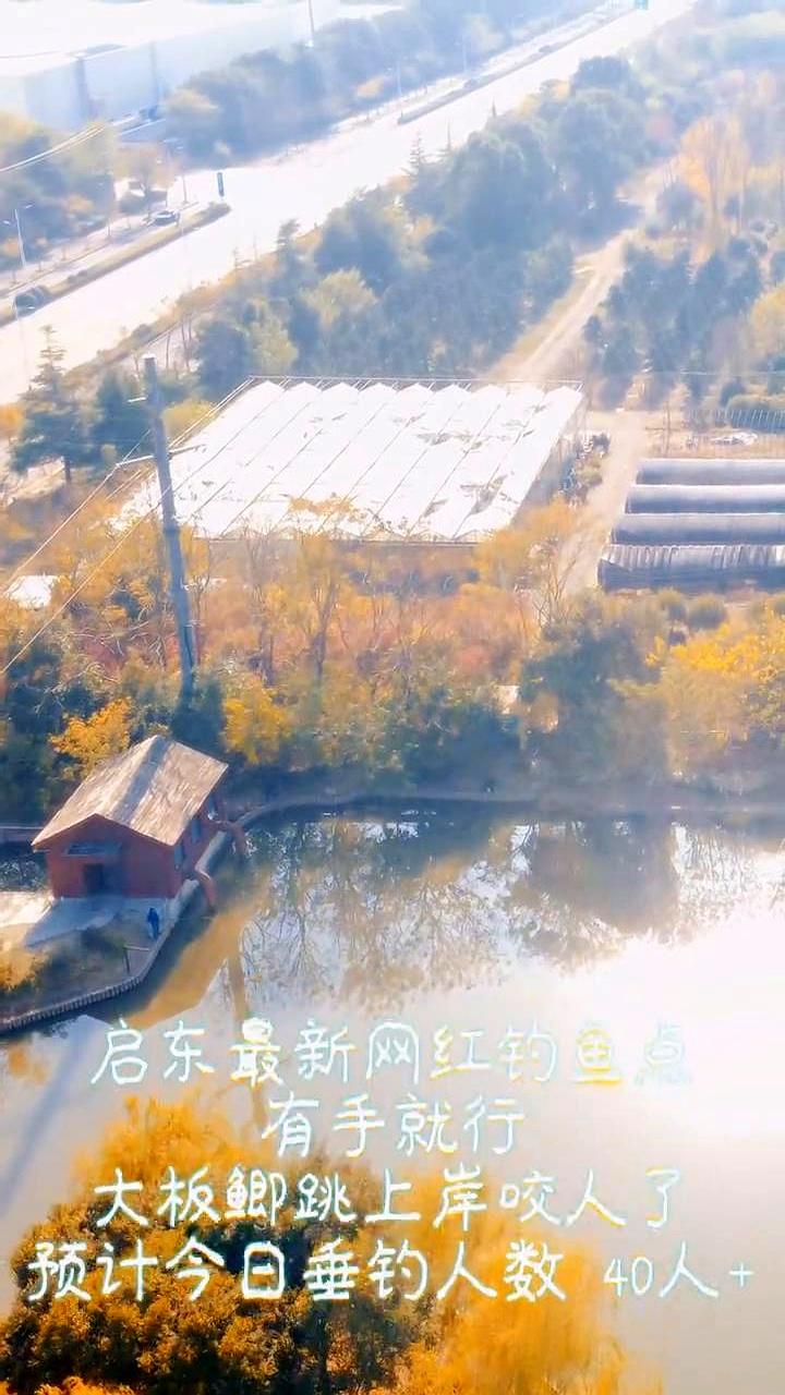 启东最新网红钓鱼点，有手就行。那条“大板鲫跳上岸咬人”的传闻，让钓友们都