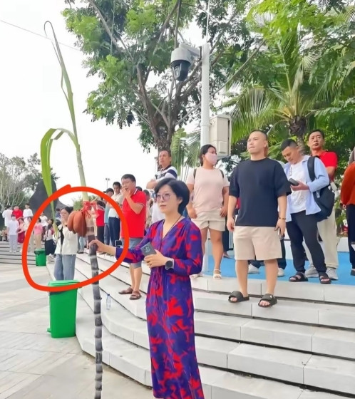 这个妈妈火了我猜她一定是个广东人！因为只有广东人懂甘蔗上挂香蕉，寓意不要太