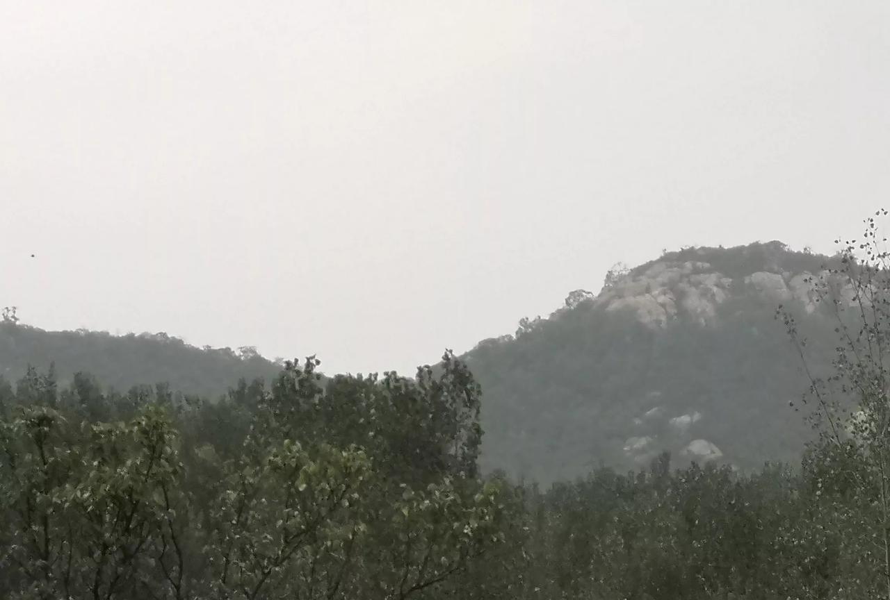 朋友在职业学院当老师。他说，他是职业班的班主任。所谓职业班就是为专属企业培育的