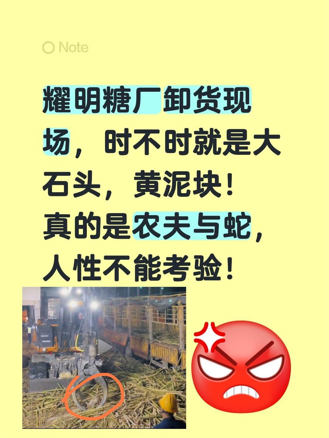 下一次甘蔗卖不出去的时候怎么办？耀明糖厂卸货现场，时不时就是大石头，黄泥块！真